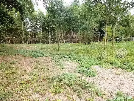 vente terrain 1686 m² à saint-remy (14570)  26 400 €