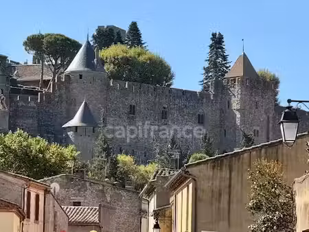vente locaux professionnels 3 pièces 50 m² à carcassonne (11000)  125 000 €