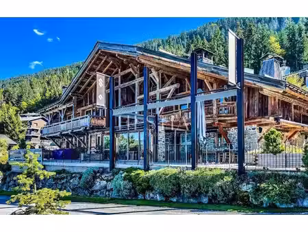 vente locaux professionnels 20 pièces à arâches-la-frasse (74300)  5 775 000 €