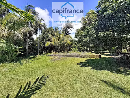 terrain 1 270 m² avec permis de construire pour 2 maisons ! (974) sainte-anne
