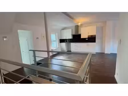 appartement spacieux entièrement rénové avec 2 chambres