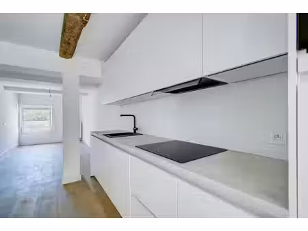 bel appartement entierement renove 2 chambres avec terrasse