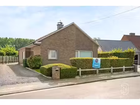 bungalow spacieux avec 3 ch.  garage et jardin à berchem