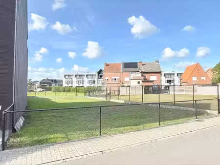 terrein