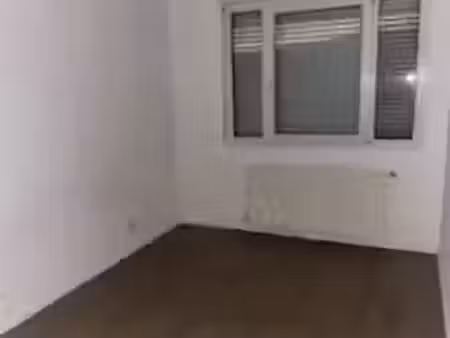 location appartement 2 pièces 50 m² à villeurbanne (69100)