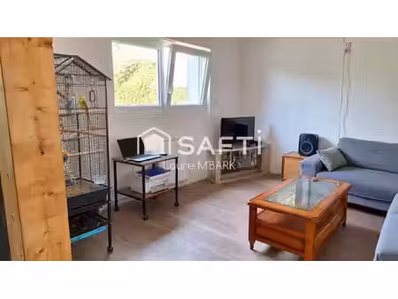 maison individuelle ou investissement locatif