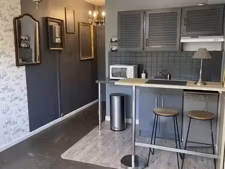beau studio lumineux à louer au chesnay 78