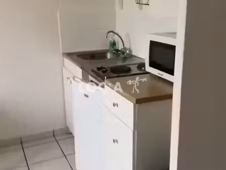 location appartement 1 pièce 19 m² à oullins-pierre-bénite (69310)