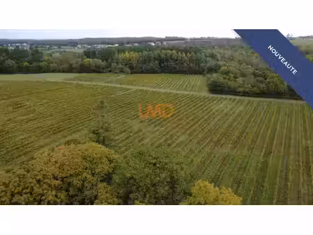 vente terrain