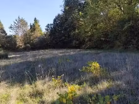 vente terrain à crespian (30260) : à vendre / 1369m² crespian