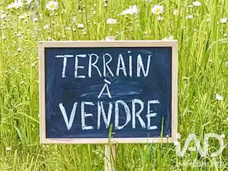 vente terrain au blanc (36300) : à vendre / 1505m² le blanc