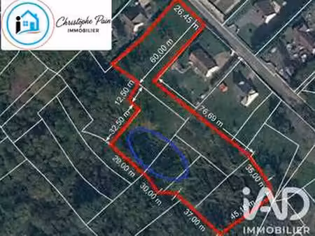 vente terrain aux bordes (45460) : à vendre / 7093m² les bordes
