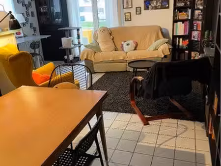 appartement 1 chambre meublé