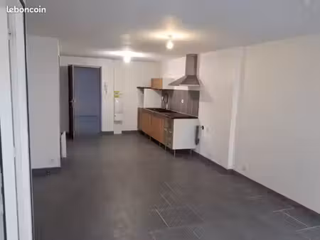 appartement style loft 2 ch park