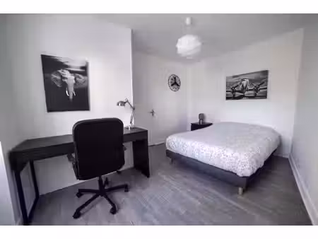 colocation à louer
