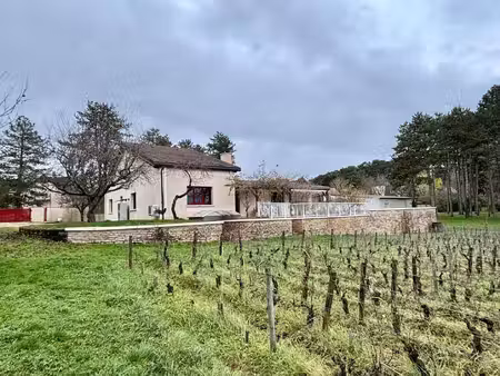 colocation à louer