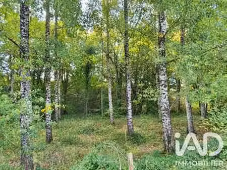 vente terrain à montignac (33760) : à vendre / 4545m² montignac