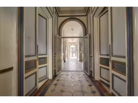 maison de maître et son gîte  au cœur de castillon