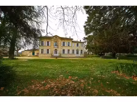 propriété viticole de 5.5 hectares sur saint-émilion - voisin de grand cru classé