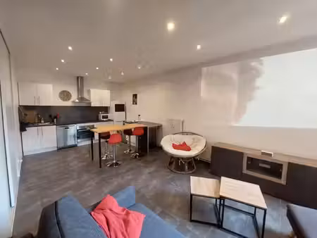 location appartement 2 pièces 55 m² à villeurbanne (69100)