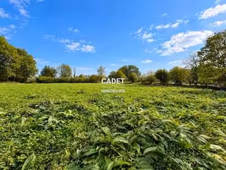 vente terrain à la haye-pesnel (50320) : à vendre / 3250m² la haye-pesnel