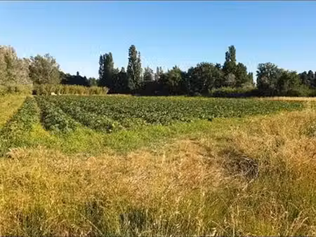 terrain agricole 5m du centre