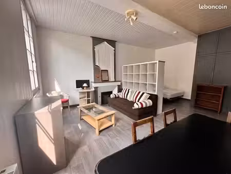 ‌charmant appartement de centre-ville  à 2 pas de la place saint pierre. bien rare. coup d