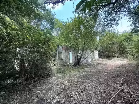 vente terrain 12904 m² à villeneuve-sur-lot (47300)  55 000 €