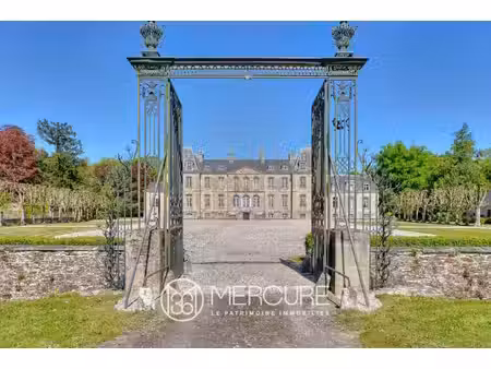 château à vendre