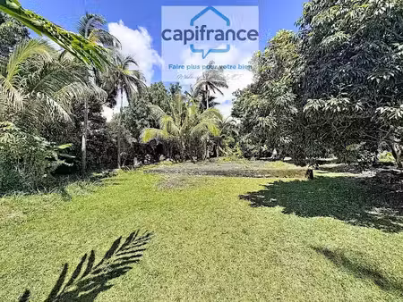 vente terrain 1270 m² à sainte anne (97437)  149 000 €