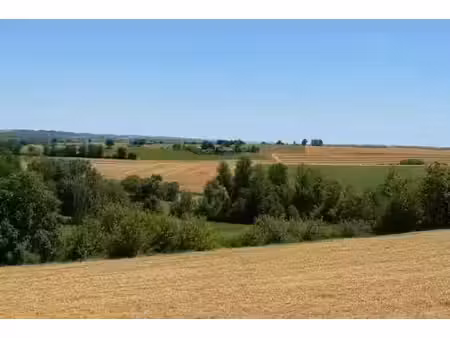 vente terrain 1000 m² à sainte-livrade-sur-lot (31530)  99 900 €
