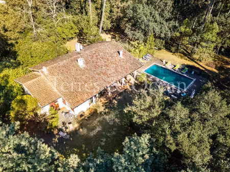 maison face a la foret