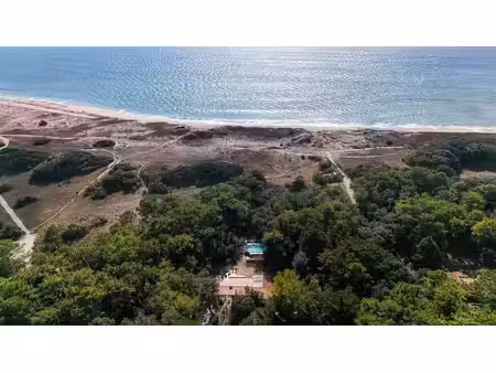 le bois-plage-en-ré — entre pinède et océan