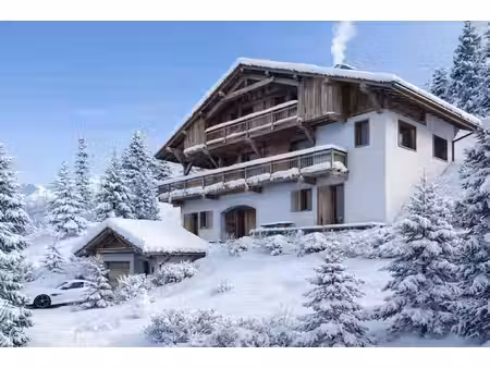 chalet face à la chaine du mont blanc
