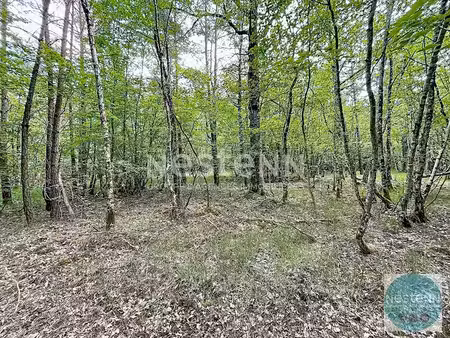 vente terrain 119780 m² à fontaines-en-sologne (41250)  126 800 €
