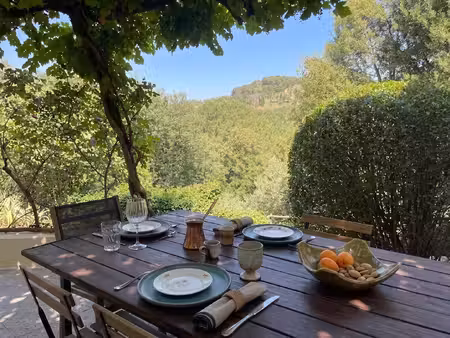 a vendre - ancienne magnanerie - cévennes méridionales