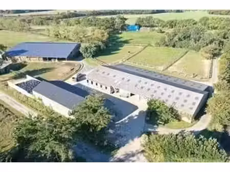 haras de reproduction clé en main sur 52 ha dans le morbihan (5