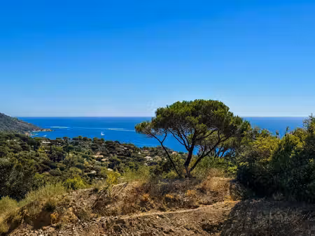 ramatuelle – un terrain rare avec vue mer  prêt à accueillir une villa d'exception