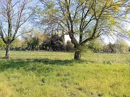 vente terrain 2500 m² à le pradet (83220)  149 000 €