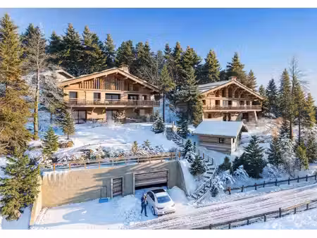achat : maison (74120)