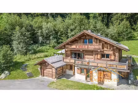 chalet face au mont blanc
