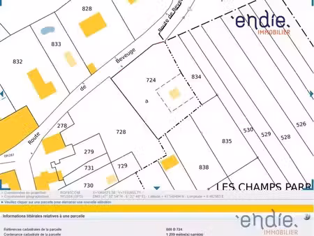 à vendre – terrain constructible de 12 99 ares avec chalet à