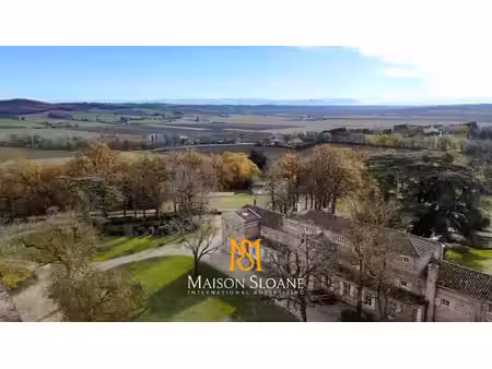 château xixème sur 9 ha avec vue pyrénées