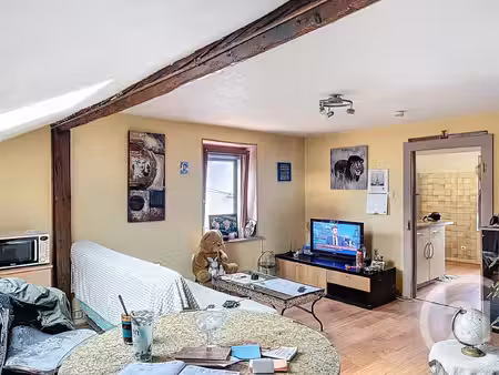 achat : appartement (88000)