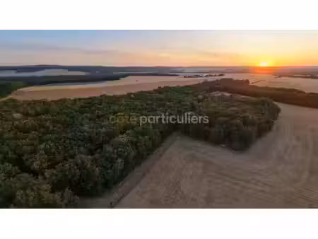 vente terrain 367217 m² à chablis (89800)  330 000 €