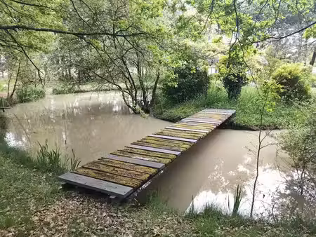 vente terrain 100000 m² à mignaloux-beauvoir (86550)  295 000 €