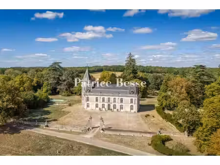 près d'angoulême  un château du 19e s. et son domaine de 100 ha