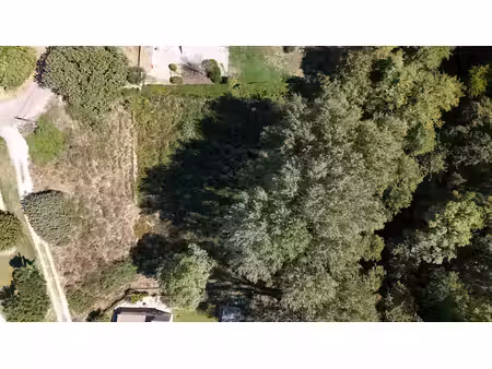 opportunité rare à carcès : terrain à bâtir de 1 000 m2