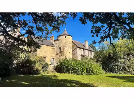 redon - ille-et-vilaine - charme unique pour ce manoir du xve à vendre.