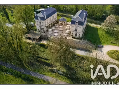 vente château 10 pièces